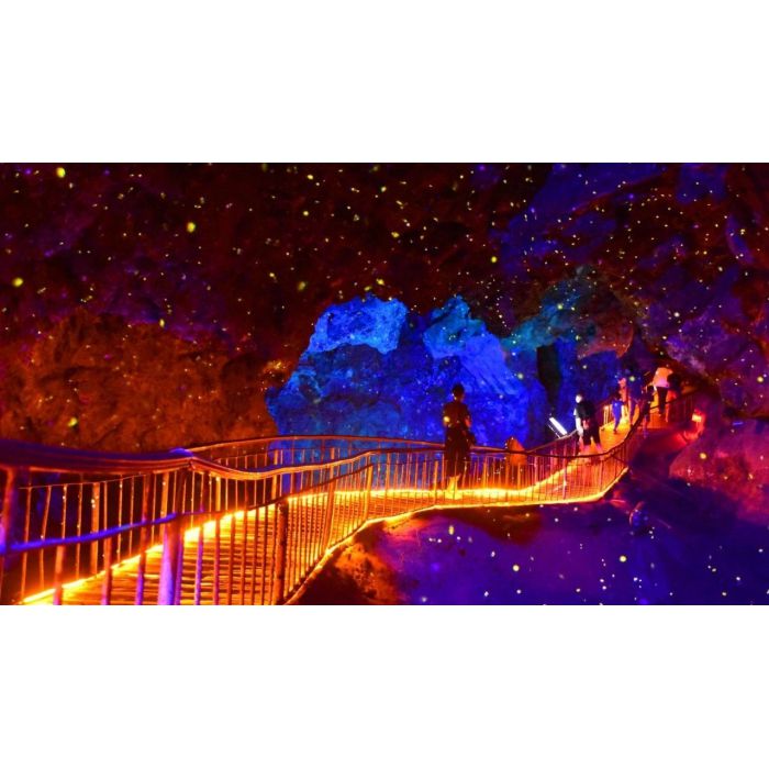 萤火虫星空灯
